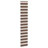 Store zèbre marron 40x200 cm largeur du tissu 35,9 cm polyester 