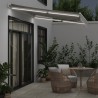 Auvent manuel rétractable avec LED anthracite blanc 300x250 cm 