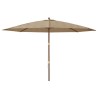 Parasol de jardin avec mât en bois taupe 400x273 cm 