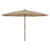 Parasol de jardin avec mât en bois taupe 400x273 cm 