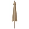 Parasol de jardin avec mât en bois taupe 400x273 cm 