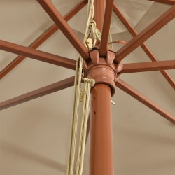 Parasol de jardin avec mât en bois taupe 400x273 cm 