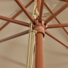 Parasol de jardin avec mât en bois taupe 400x273 cm 