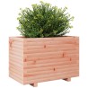 Jardinière 70x40x49,5 cm bois massif de douglas 