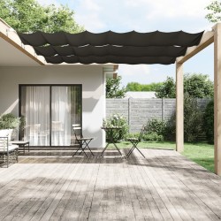 Auvent vertical Anthracite 100x1000 cm Tissu oxford 