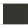 Auvent vertical Anthracite 100x1000 cm Tissu oxford 