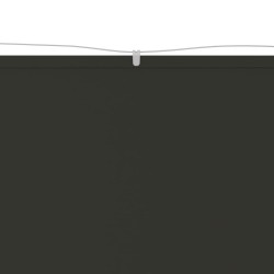 Auvent vertical Anthracite 100x1000 cm Tissu oxford 