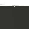 Auvent vertical Anthracite 100x1000 cm Tissu oxford 