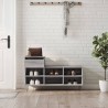 Armoire à chaussures Sonoma gris 102x36x60 cm Bois d'ingénierie 