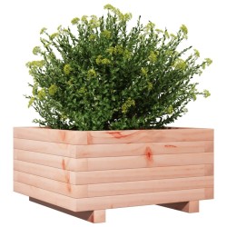 Jardinière 50x50x26,5 cm bois massif de douglas 