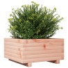 Jardinière 50x50x26,5 cm bois massif de douglas 