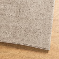 Tapis HUARTE à poils courts doux et lavable sable 200x280 cm 