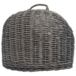 Cage de transport pour chats Gris 45x35x35 cm Saule naturel 