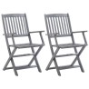 Chaises pliables d'extérieur lot de 2 et coussins Bois d'acacia 