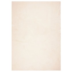 Tapis HUARTE à poils courts doux et lavable beige 120x170 cm 