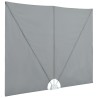 Auvent latéral pliable de terrasse Gris 300 x 200 cm 