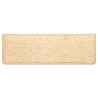 Tapis d'escalier 10 pcs 65x21x4 cm Marron 