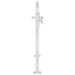Portail de jardin 100x75 cm acier inoxydable 