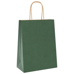 Sacs en papier 250 pcs avec poignées vert 21x11x28 cm 