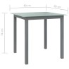 Table de jardin Gris clair 80x80x74 cm Aluminium et verre 