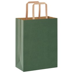 Sacs en papier 250 pcs avec poignées vert 21x11x28 cm 