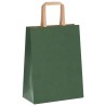 Sacs en papier 250 pcs avec poignées vert 21x11x28 cm 