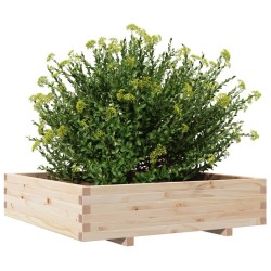 Jardinière 100x100x26,5 cm bois de pin massif 