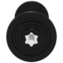Ensemble d'haltères avec plaques 30 kg fonte et acier chromé 