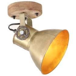 Lampe murale industrielle/de plafond 2 pcs Laiton 20x25 cm E27 