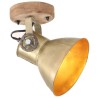 Lampe murale industrielle/de plafond 2 pcs Laiton 20x25 cm E27 
