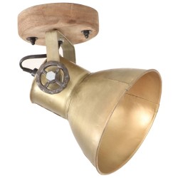 Lampe murale industrielle/de plafond 2 pcs Laiton 20x25 cm E27 