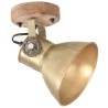 Lampe murale industrielle/de plafond 2 pcs Laiton 20x25 cm E27 