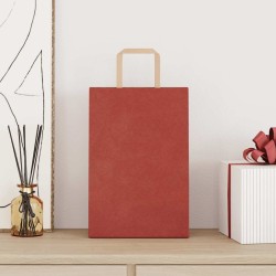 Sacs en papier 250 pcs avec poignées rouge 21x11x31 cm 