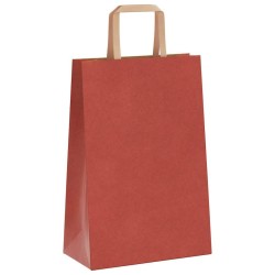 Sacs en papier 250 pcs avec poignées rouge 21x11x31 cm 