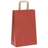 Sacs en papier 250 pcs avec poignées rouge 21x11x31 cm 