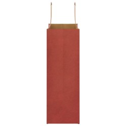 Sacs en papier 250 pcs avec poignées rouge 21x11x31 cm 