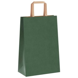 Sacs en papier 250 pcs avec poignées vert 21x11x31 cm 