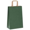 Sacs en papier 250 pcs avec poignées vert 21x11x31 cm 