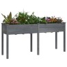 Jardinière avec doublure gris 161x45x76 cm bois massif de sapin 