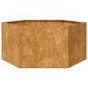 Jardinière hexagone 104x90x45 cm acier patinable 