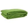Tapis de tente vert clair 250x400 cm PEHD 