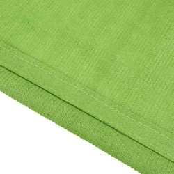 Tapis de tente vert clair 250x400 cm PEHD 