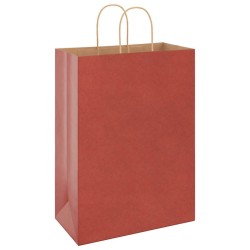 Sacs en papier 50 pcs avec poignées rouge 32x17x44 cm 