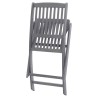 Chaises pliables d'extérieur lot de 8 et coussins Bois d'acacia 