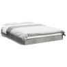 Cadre de lit sans matelas gris béton 120x190 cm 