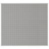 Couverture lestée Gris 200x220 cm 13 kg Tissu 