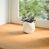 Appuis de fenêtre 2 pcs marron clair bois de chêne massif 