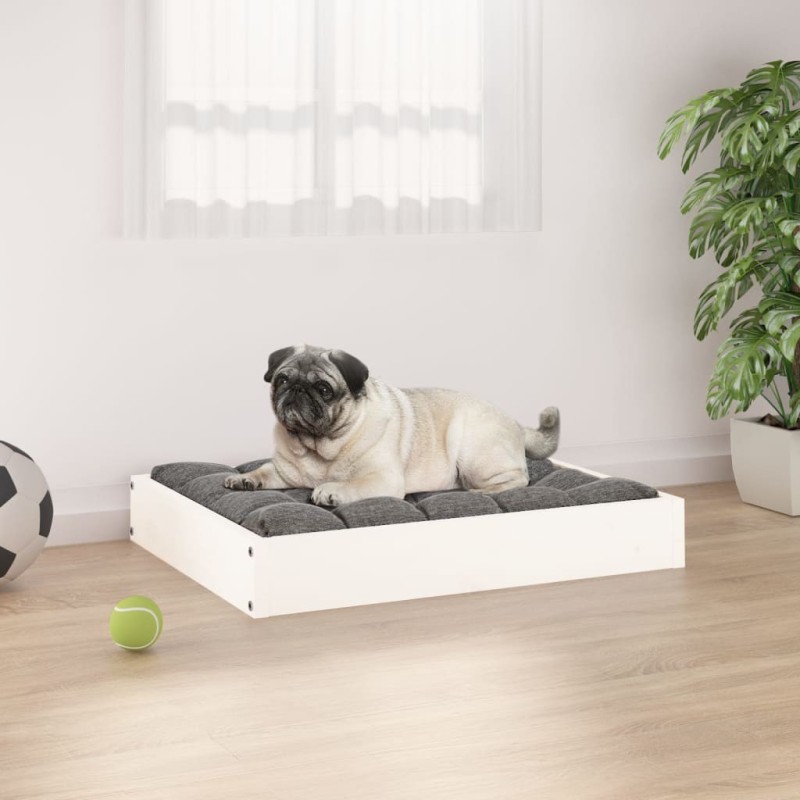 Lit pour chien Blanc 61,5x49x9 cm Bois de pin solide 