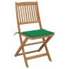 Chaises pliables de jardin lot de 6 avec coussins Bois d'acacia 