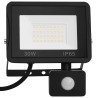 Projecteur à LED avec capteur 30 W Blanc froid 
